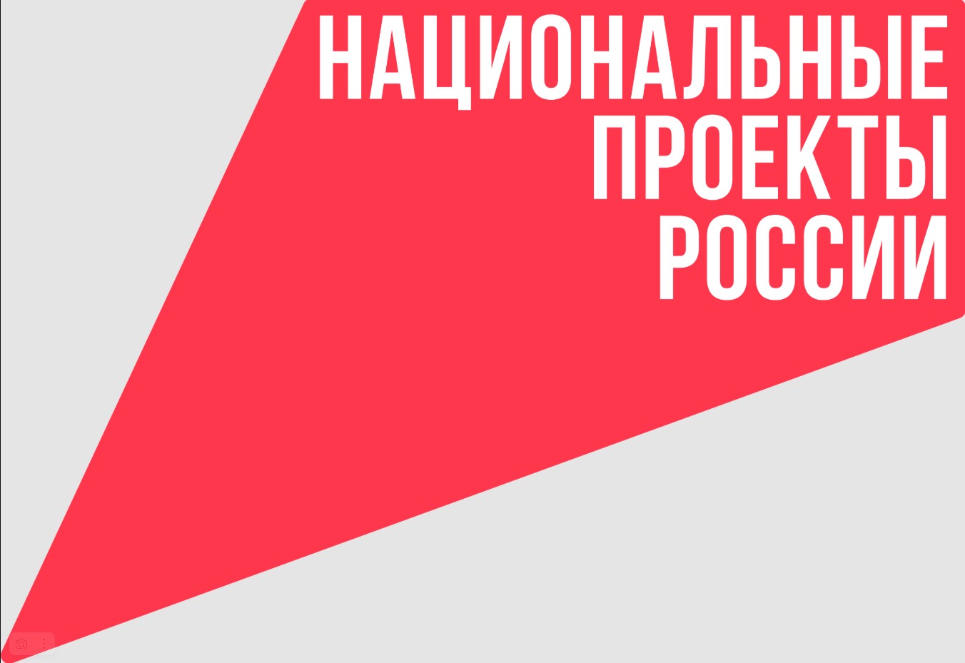 Национальные проекты России